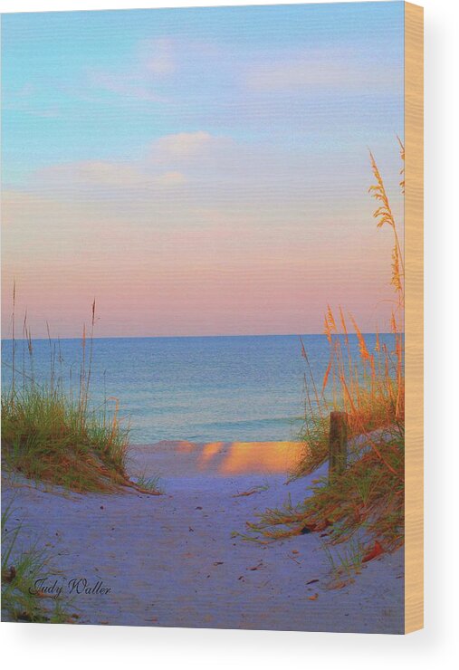 Beach Wood Print featuring the photograph Let's Walk by Judy Waller