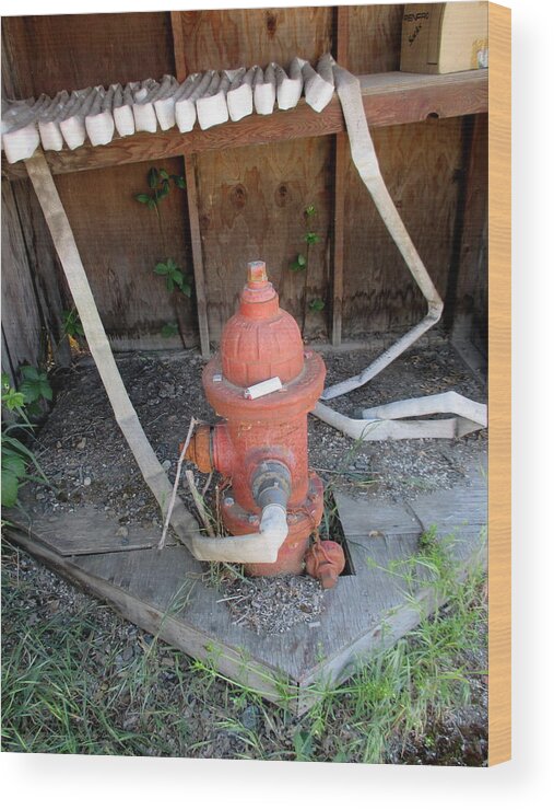 Fire Hydrant Wood Print featuring the photograph Light one up by Marie Neder