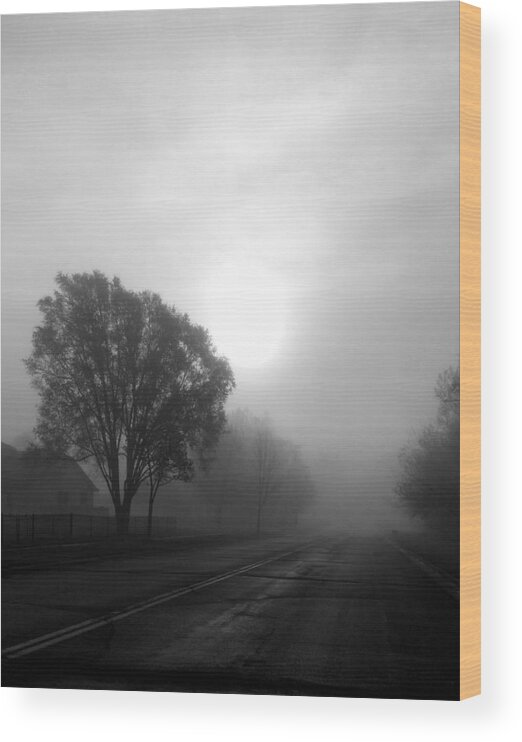 Tree Wood Print featuring the photograph Light Through a Fog by Corey Habbas