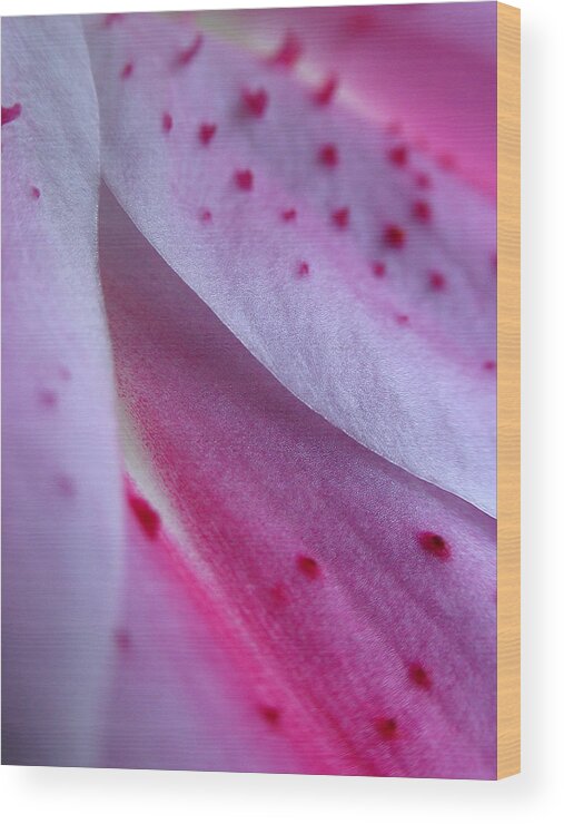 Lily Wood Print featuring the photograph Lily Petals by Juergen Roth