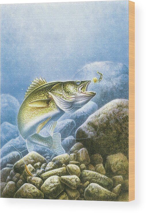 Jon Q Wright Wood Print featuring the painting Lindy Walleye by JQ Licensing