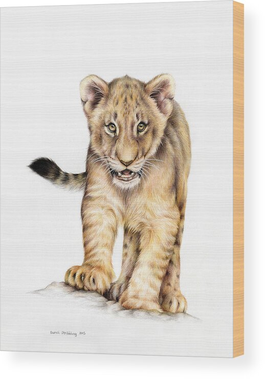 little lion | Animal drawings, Lion cub tattoo, Lion drawing