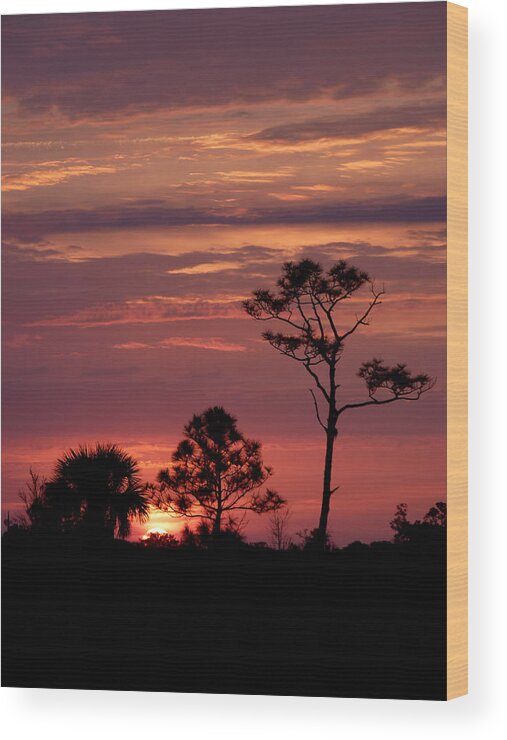 Lone Pine Sunset Wood Print featuring the painting Lone Pine Sunset by Susan Duda