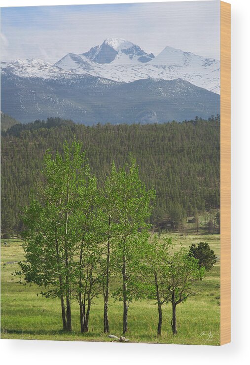 Longs Wood Print featuring the photograph Longs Peak from Moraine Park - Spring by Aaron Spong