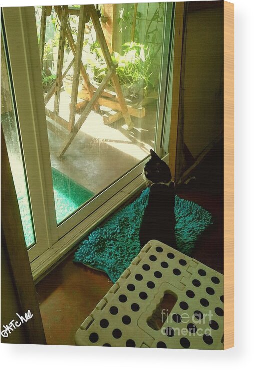 Cat Wood Print featuring the photograph Looking Outside by Sukalya Chearanantana