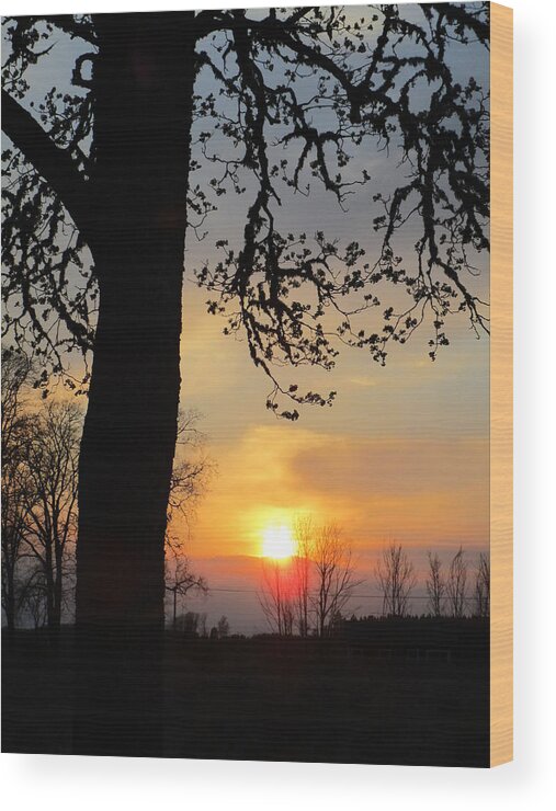 Silhouette Wood Print featuring the photograph Low standing in the sky by Rosita Larsson