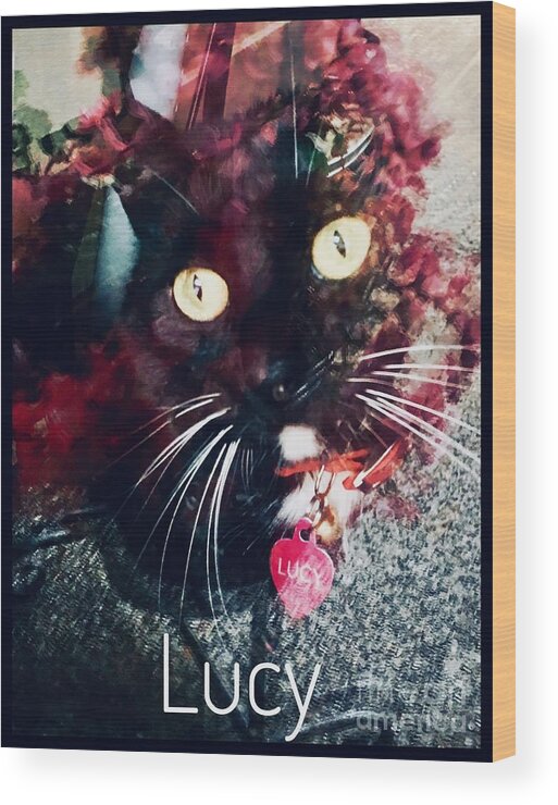 Lucy The Cat Wood Print featuring the photograph Lucy The Cat by Susan Garren