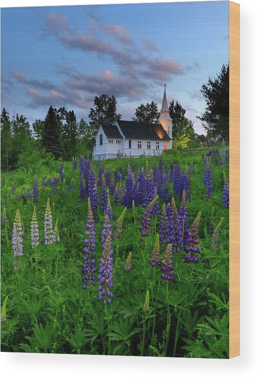Lupines Wood Print featuring the photograph Lupines by the Church by Rob Davies
