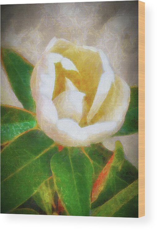 Flower Wood Print featuring the mixed media Magnolia Flower by Joseph Hollingsworth