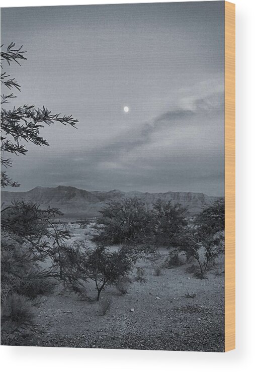 Mesquite Wood Print featuring the photograph Mesquite Moonrise No. 1-2 by Sandy Taylor