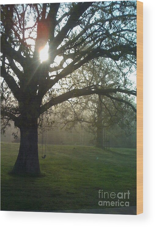 Mist Wood Print featuring the photograph MIsty Morning by Nadine Rippelmeyer