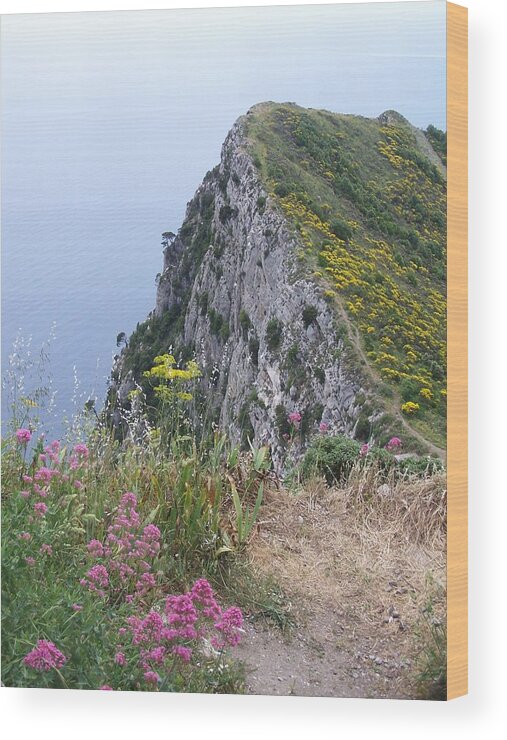 Capri Wood Print featuring the photograph Monte Solaro by Adam Schwartz