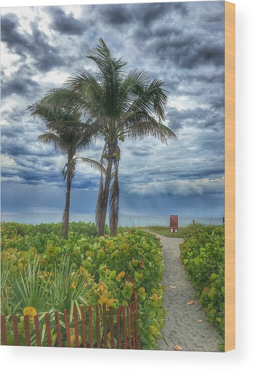 Florida Wood Print featuring the photograph Morning After the Storm Delray Beach Florida by Lawrence S Richardson Jr