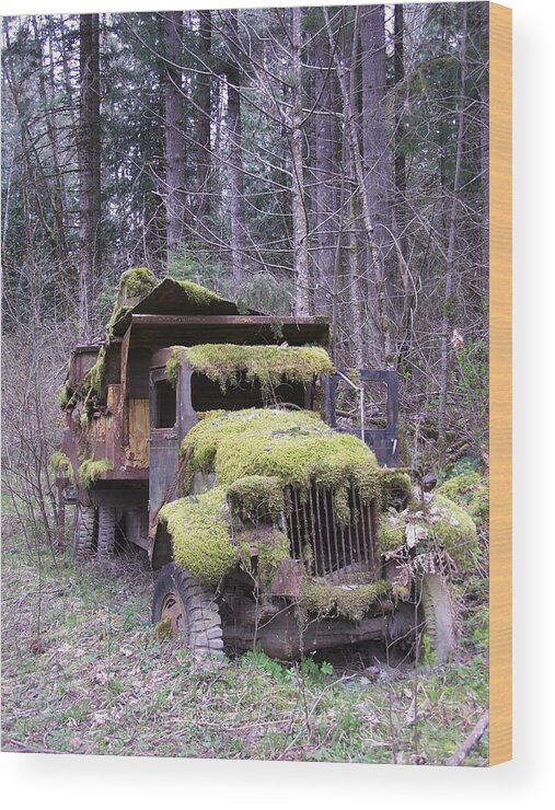 Truck Wood Print featuring the photograph Mossy Truck by Gene Ritchhart
