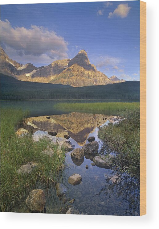 00175865 Wood Print featuring the photograph Mount Chephren And Waterfowl Lake Banff by Tim Fitzharris