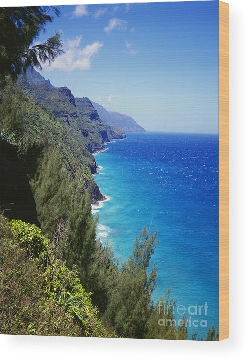 Beach Wood Print featuring the photograph NaPali coast trail by Bill Schildge - Printscapes