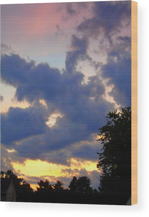 Sunset Wood Print featuring the photograph Neighborhood Sunset by Susan Lafleur