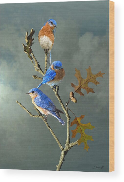 Birds Wood Print featuring the digital art Nothing But Bluebirds by M Spadecaller