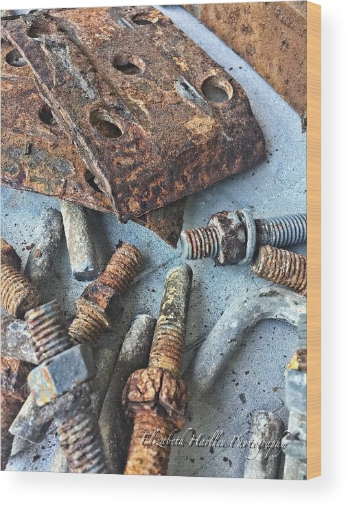  Wood Print featuring the photograph Nuts and Bolts by Elizabeth Harllee