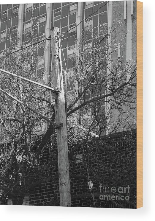 Telephone Pole Wood Print featuring the digital art Old Telephone Pole by Phil Perkins