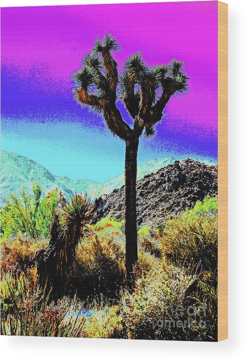 Larry Wood Print featuring the photograph Palm Desert Cactus by Larry Oskin