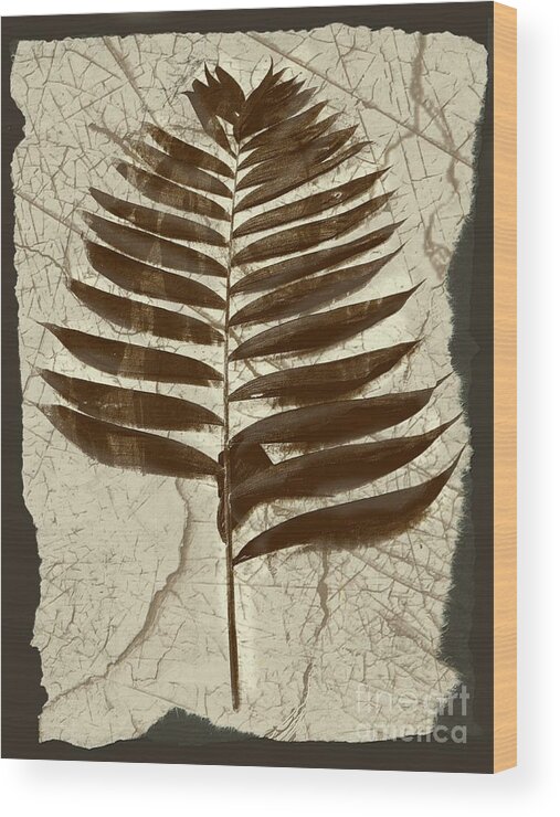 Photograph Wood Print featuring the digital art Palm Fossil Sandstone by Delynn Addams