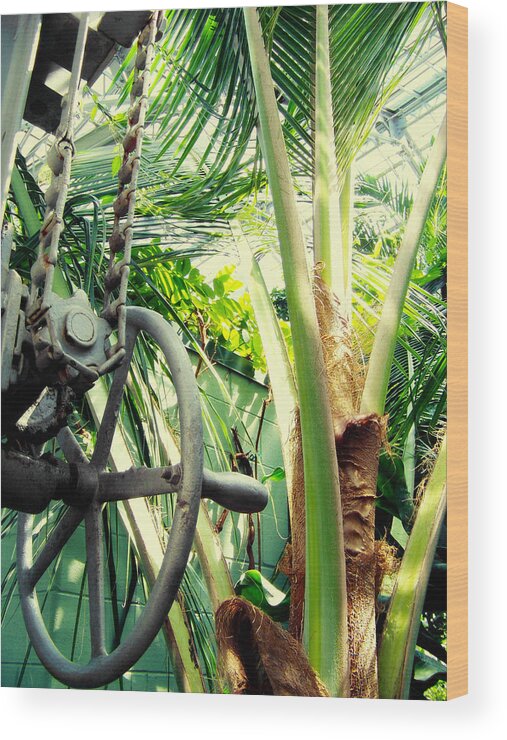 Garfield Park Conservatory Wood Print featuring the photograph Palm House Pulley by Kyle Hanson