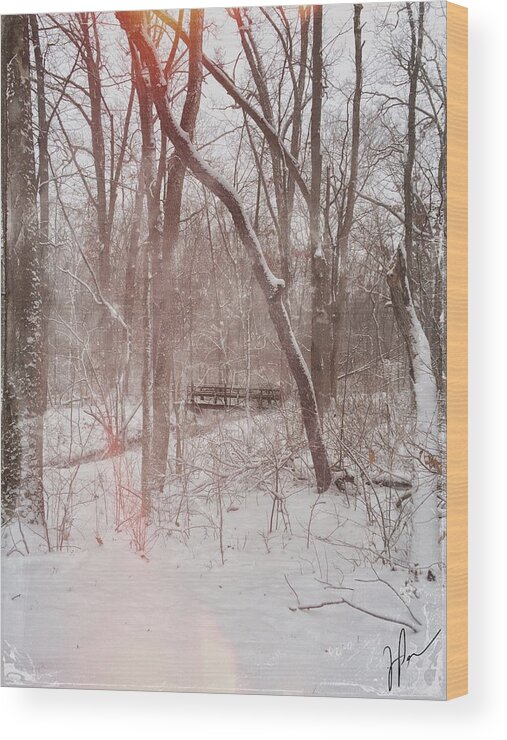 Winter Wood Print featuring the photograph Peace by Jackson Pearson