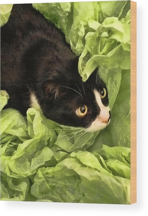 Tuxedo Wood Print featuring the photograph Playful Tuxedo Kitty in Green Tissue Paper by Kathy Clark