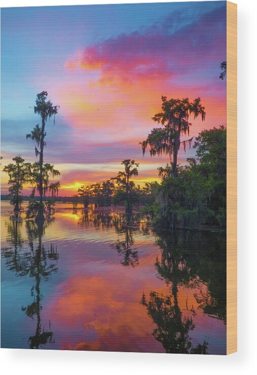  Wood Print featuring the photograph Psychedelic Swamp by Kimo Fernandez
