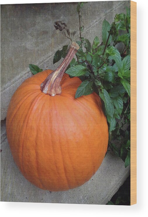 Pumpkin Wood Print featuring the photograph Pumpkin by Terri Harper