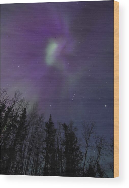 Aurora Borealis Wood Print featuring the photograph Purple Corona by Ian Johnson