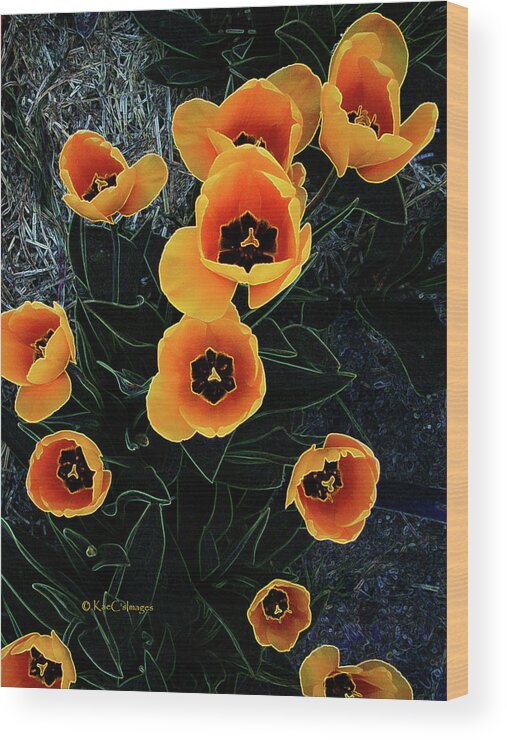 Tulips Wood Print featuring the mixed media Radiant Tulips by Kae Cheatham