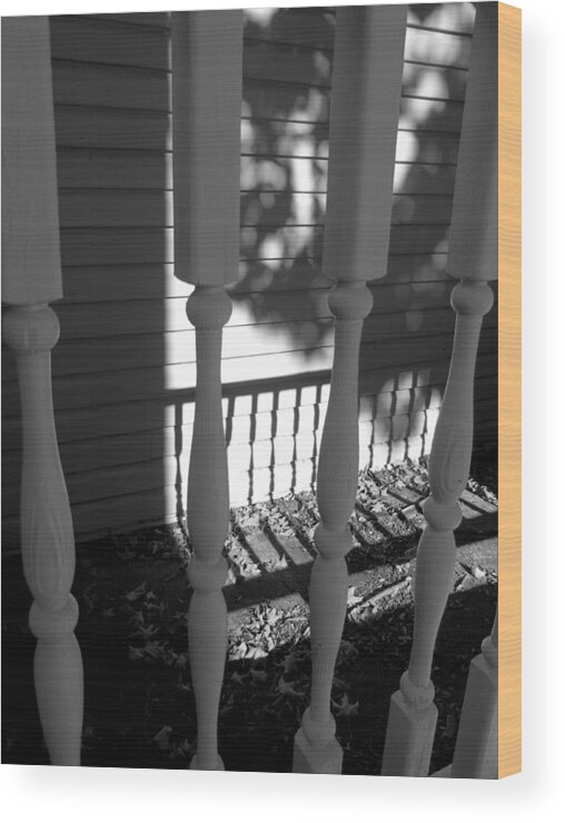 Home Wood Print featuring the photograph Railings Silhouette and Shadow by Susan Lafleur