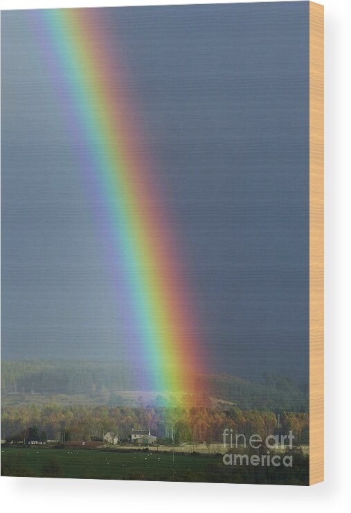 Rainbow Wood Print featuring the photograph Brilliant Rainbow by Phil Banks