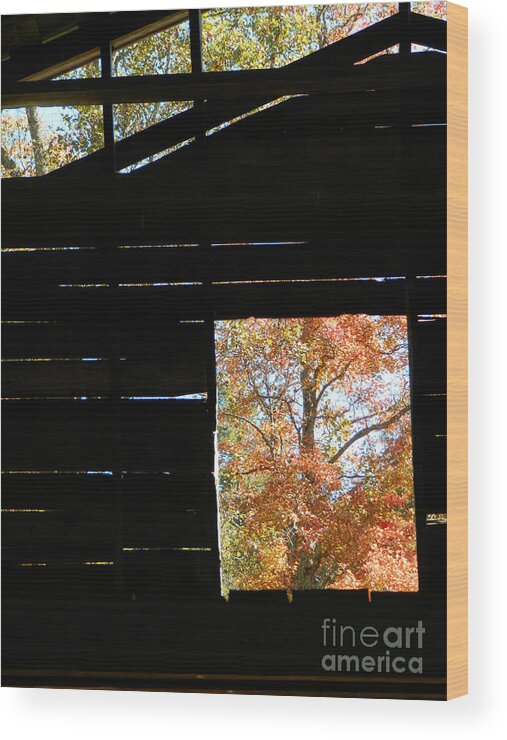Barn Wood Print featuring the photograph Red Tree by Deborah Ferree