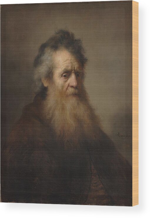 Rembrandt Bearded Old Man Wood Print featuring the painting Rembrandt Bearded old man by MotionAge Designs