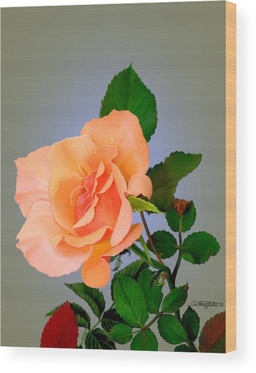 Orange Wood Print featuring the mixed media Rose by Anthony Seeker
