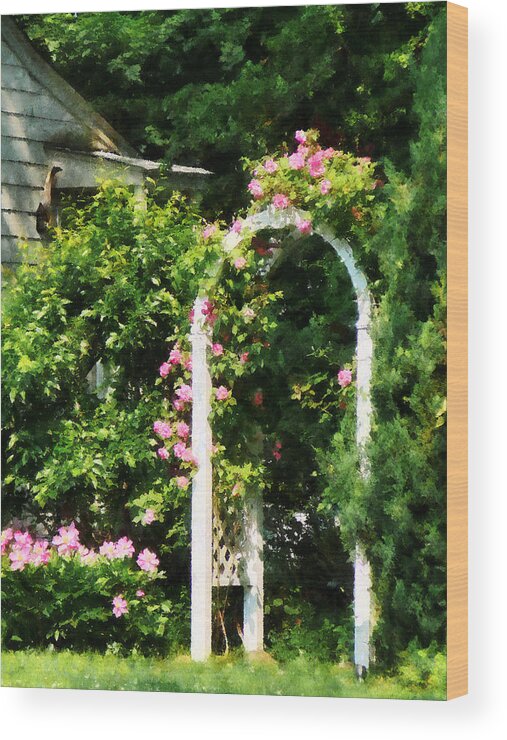 Trellis Wood Print featuring the photograph Roses On Trellis by Susan Savad