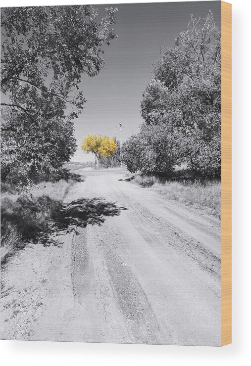 Autumn Wood Print featuring the photograph Rural Autumn Splash by Brad Hodges