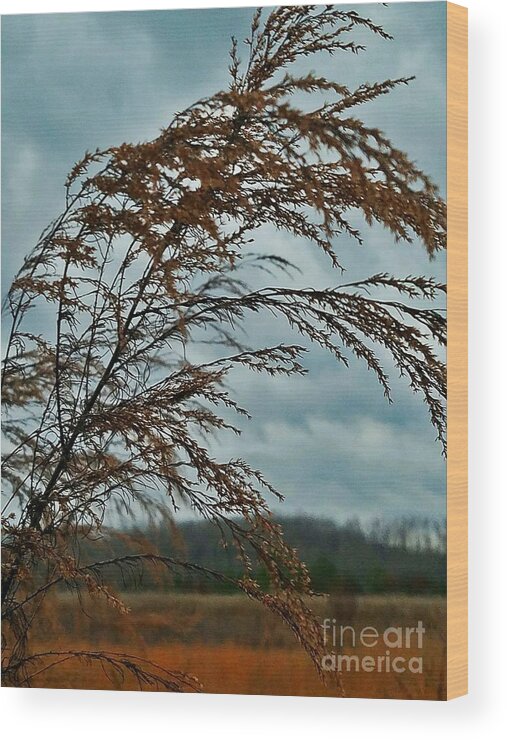 Rustic Winter 2017 Wood Print featuring the photograph Rustic Winter 2017 by Maria Urso