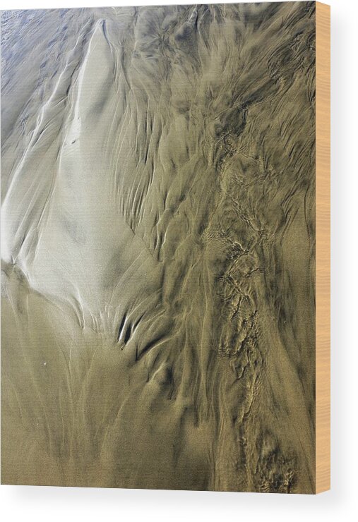 Newel Hunter Wood Print featuring the photograph Sand Sculpture 3 by Newel Hunter