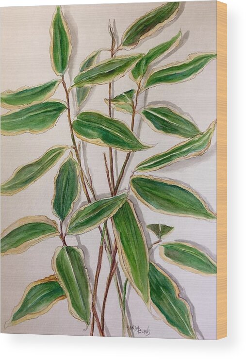 Bamboo Wood Print featuring the painting Sasa Bamboo by Rand Burns