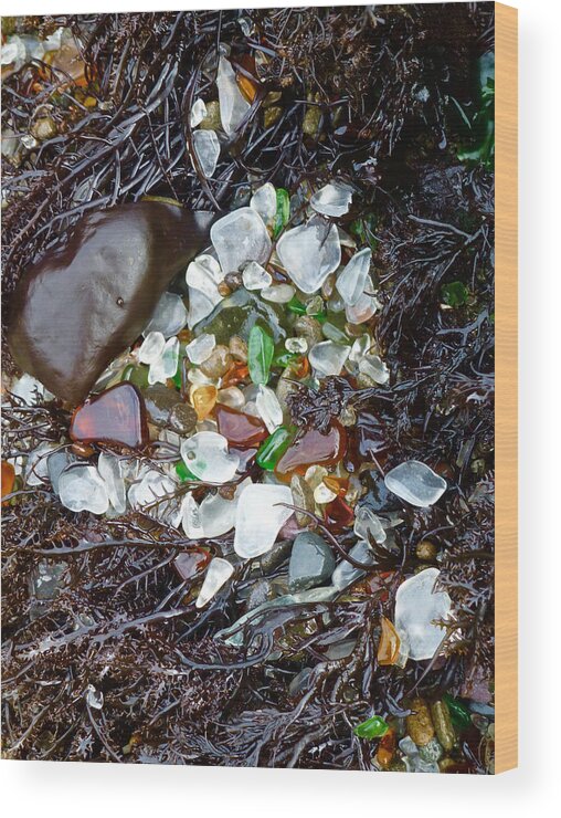 Sea Glass Wood Print featuring the photograph Sea Glass Nest by Amelia Racca