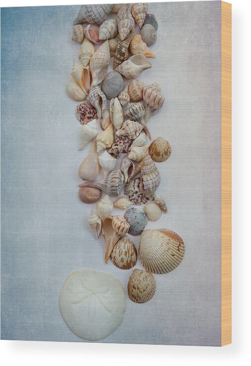 Shells Wood Print featuring the photograph Sea Shells 1 by Rebecca Cozart