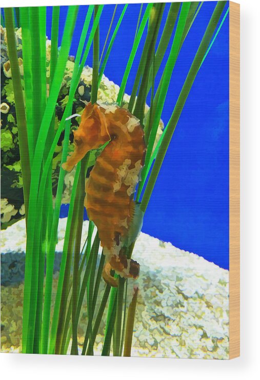 Seahorse Wood Print featuring the photograph Seahorse by Kerri Farley