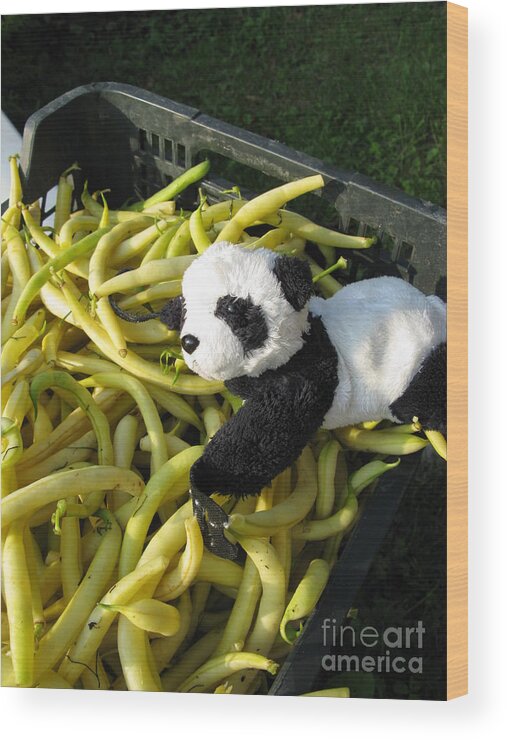 Baby Panda Wood Print featuring the photograph Selling beans by Ausra Huntington nee Paulauskaite