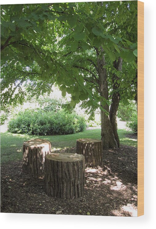 Tree Wood Print featuring the photograph Shade by Brandy Woods