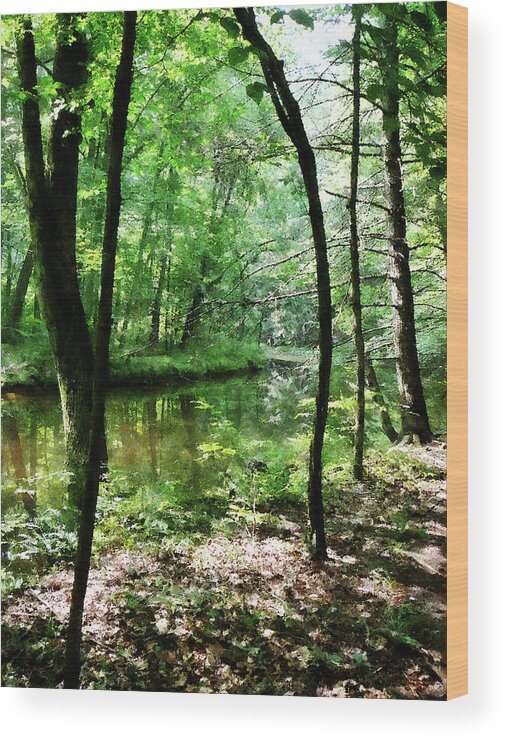 Summer Wood Print featuring the photograph Shady Woods by Susan Savad
