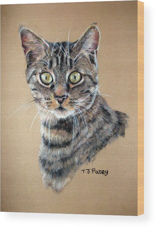 Cat Wood Print featuring the painting Shock by Tanya Patey